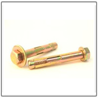 SS 310 Anchor