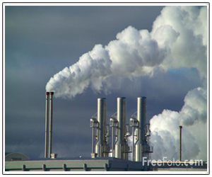 Duplex Steel Bright Bars