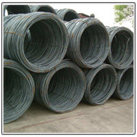 SS 310 Wire rod